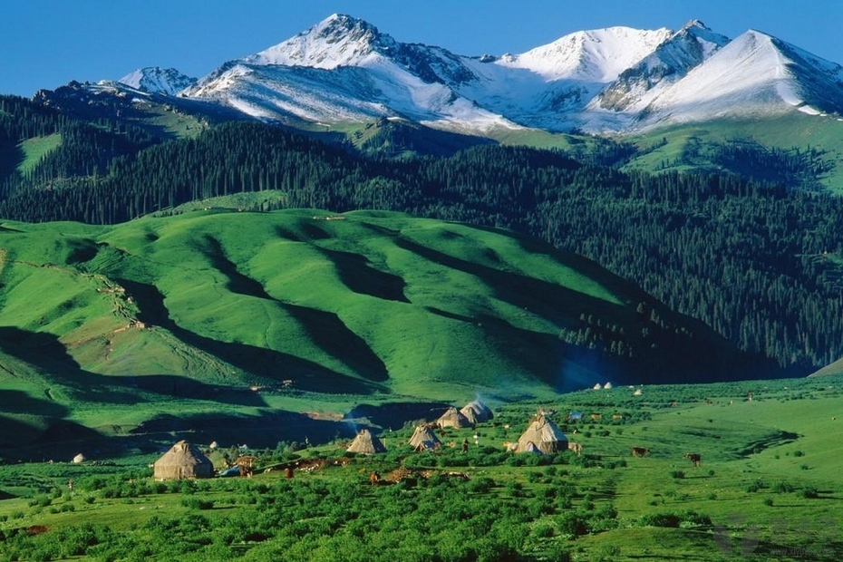 那拉提草原 — 世界四大草原之一